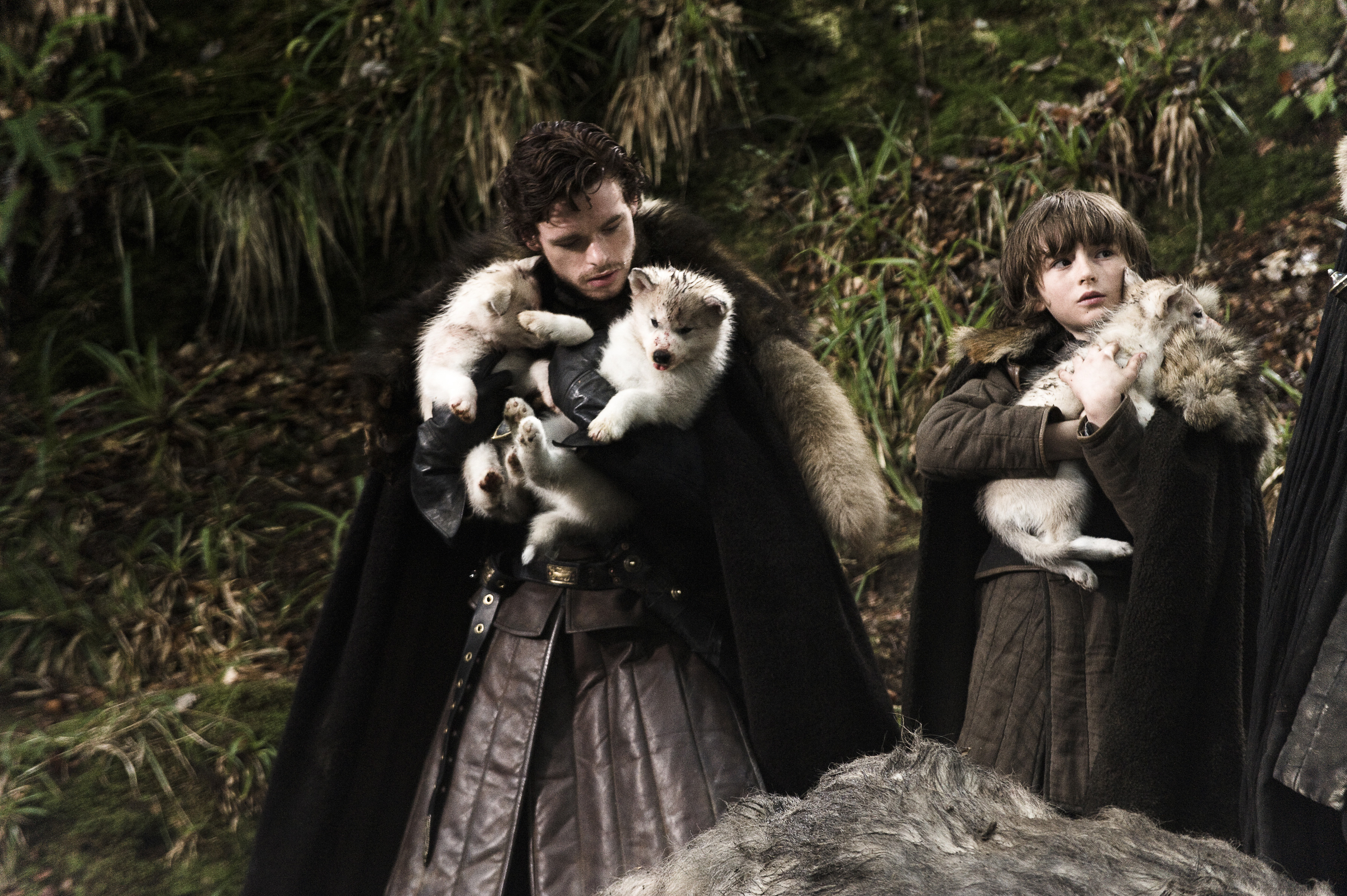 direwolves=direwolves战队哪国的
